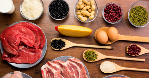Sources of protein – ProForm