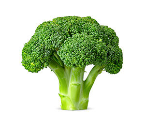 Vegetable Broccoli – ProForm Blog